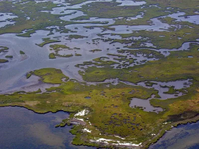 Plum Tree Island National Wildlife Refuge