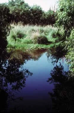 Las Cienegas National Conservation Area
