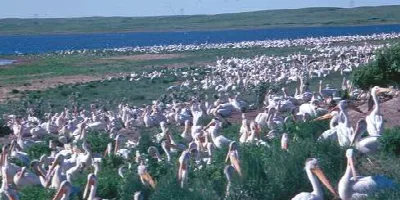 Chase Lake Wetland Management District