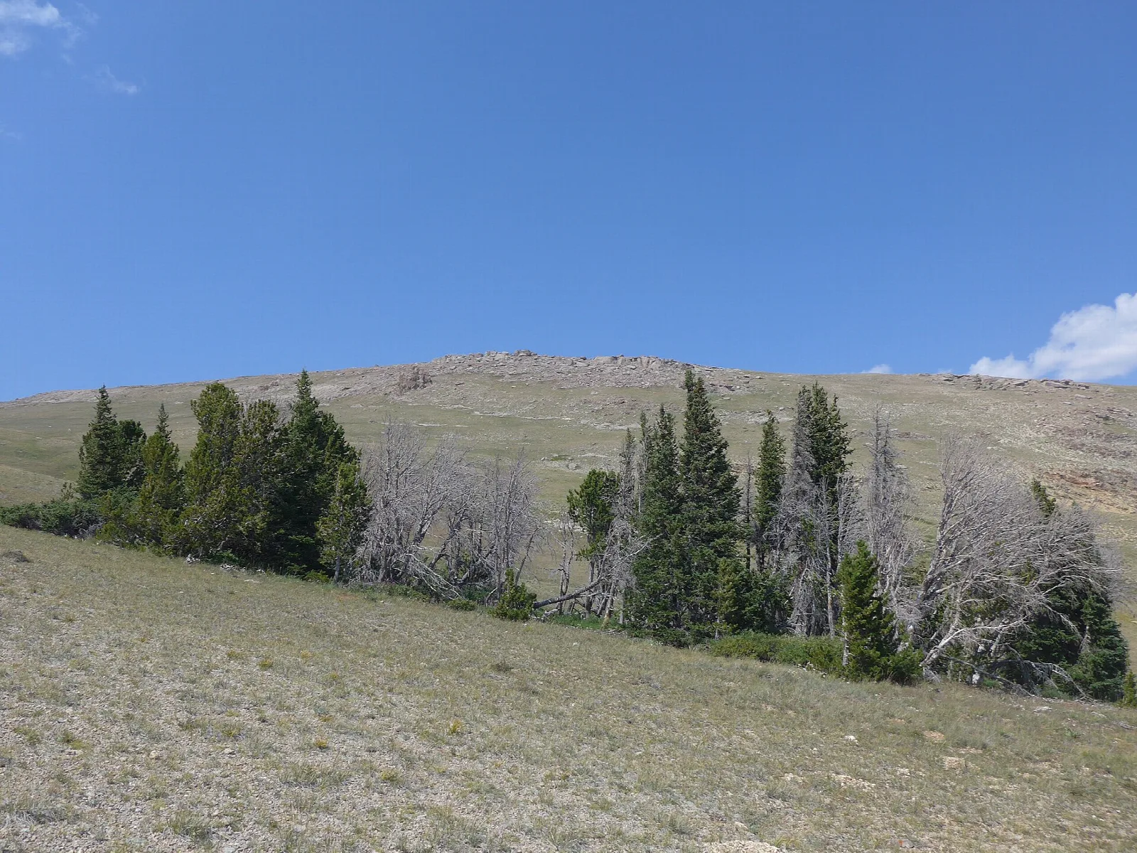 Whiskey Mountain