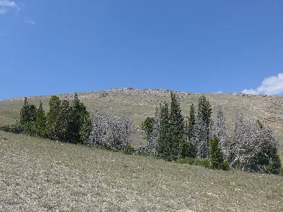 Whiskey Mountain