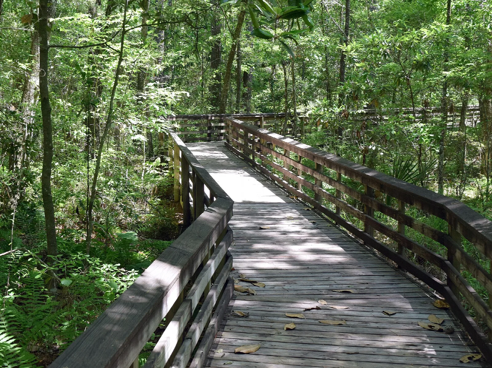 Weeks Bay National Estuarine Research Reserve
