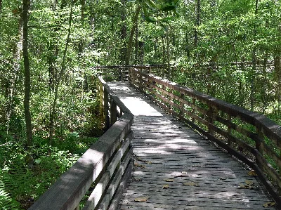 Weeks Bay National Estuarine Research Reserve