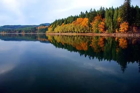 Foster Lake