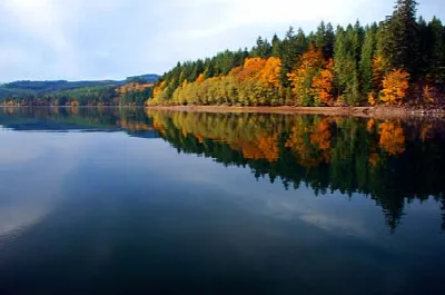 Foster Lake