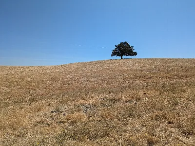 Contra Loma Reservoir