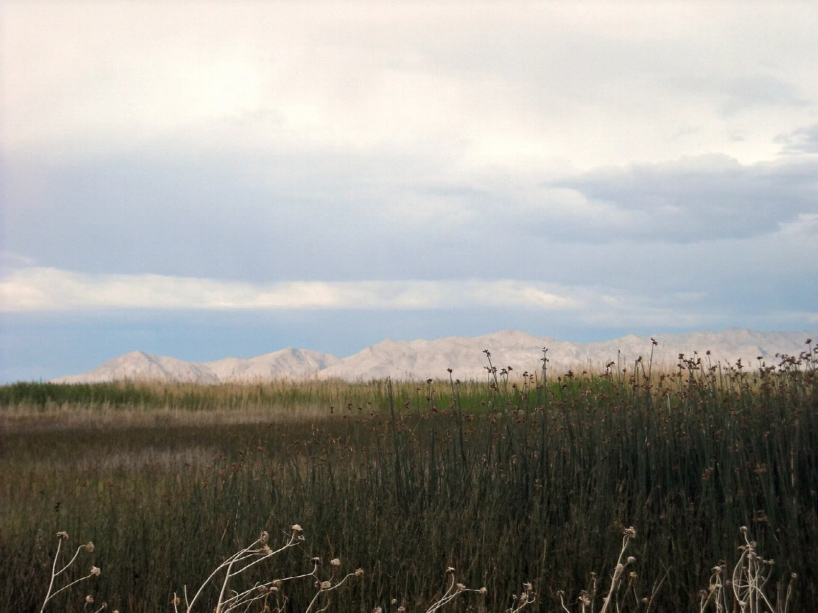 Fish Springs National Wildlife Refuge