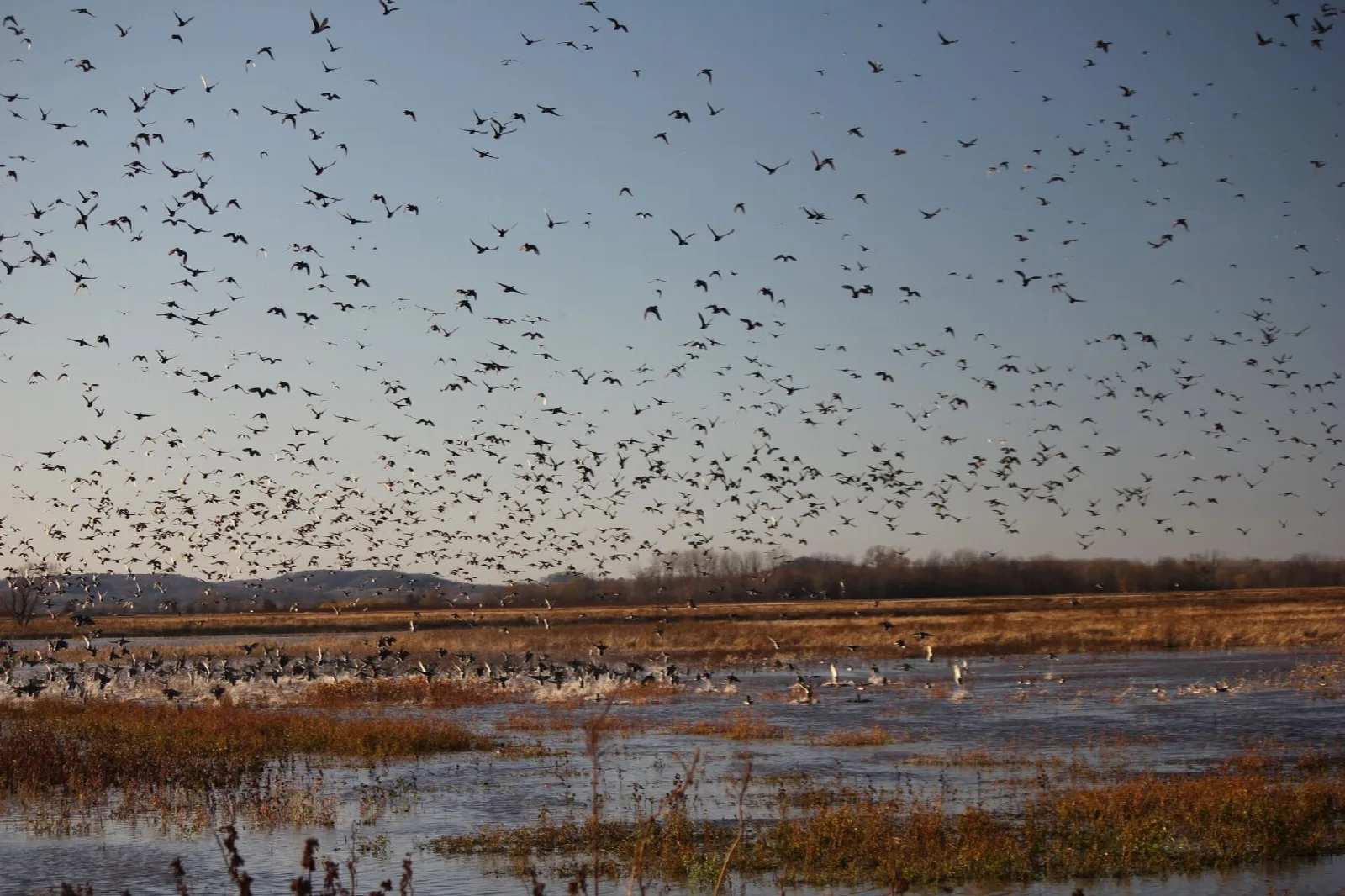 Clarence Cannon National Wildlife Refuge
