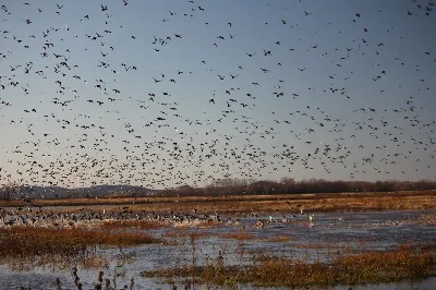 Clarence Cannon National Wildlife Refuge
