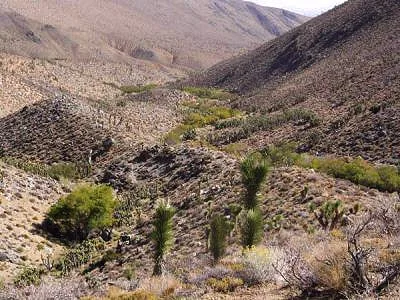 Sacatar Trail Wilderness