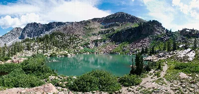 Uinta-Wasatch-Cache National Forest