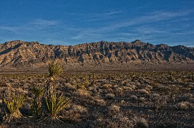 Arrow Canyon Wilderness