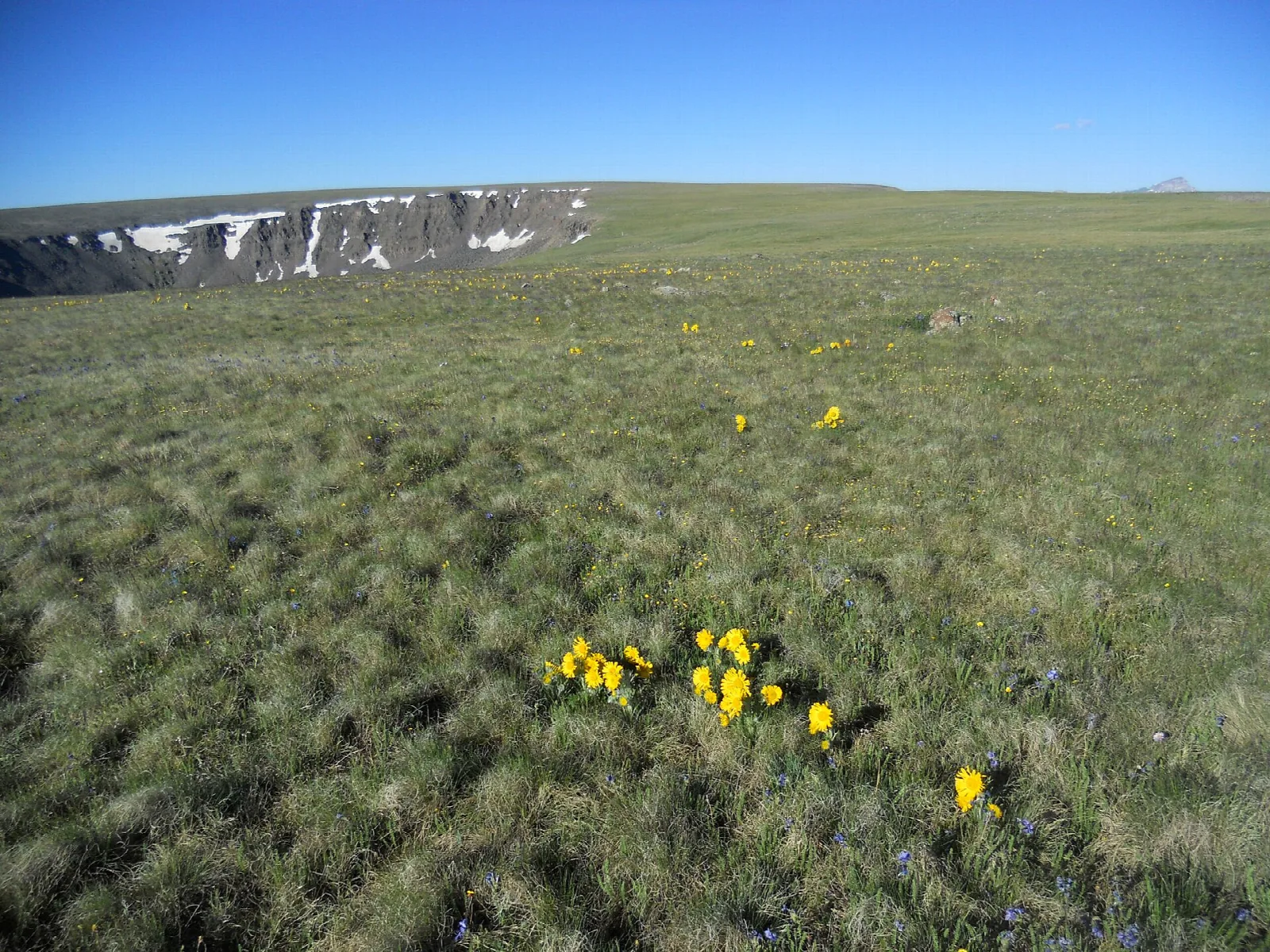 Powderhorn Wilderness