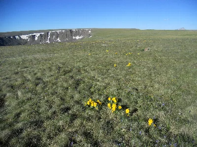 Powderhorn Wilderness