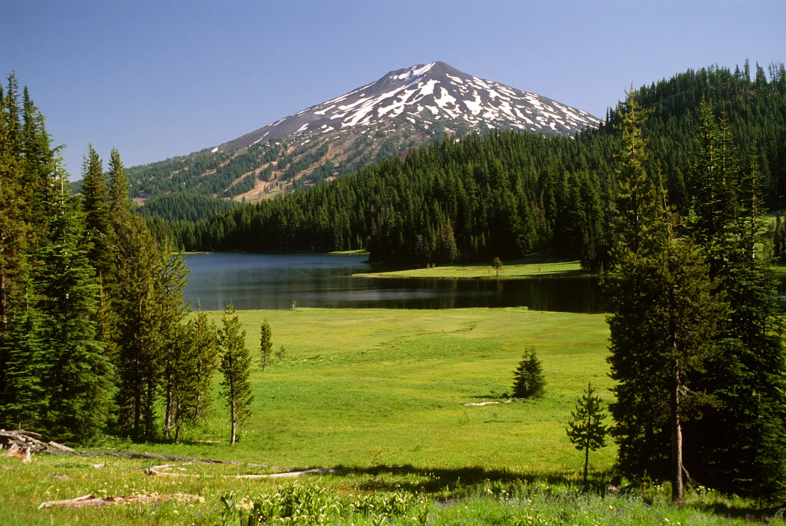 Deschutes National Forest