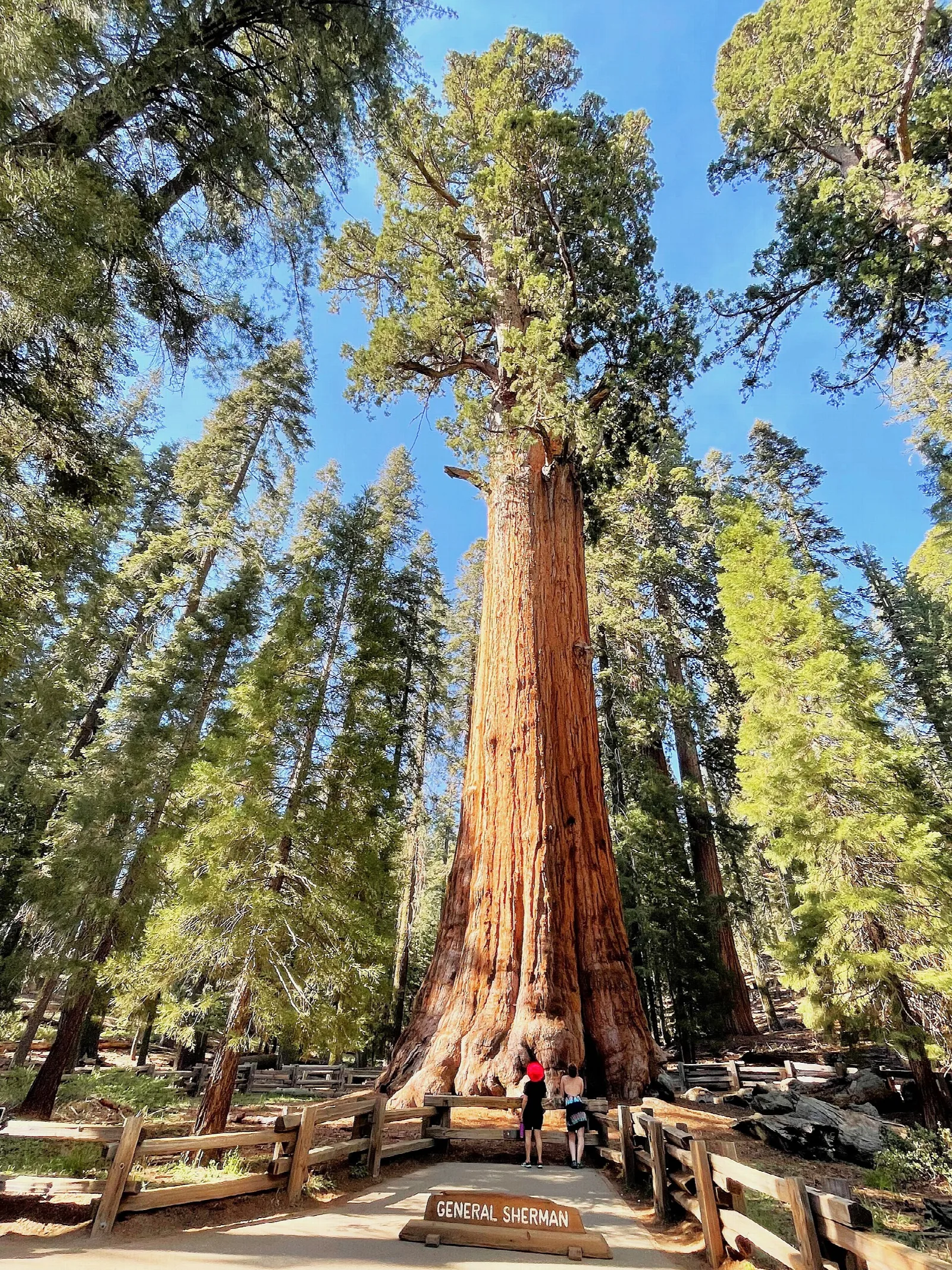 Sequoia National Park