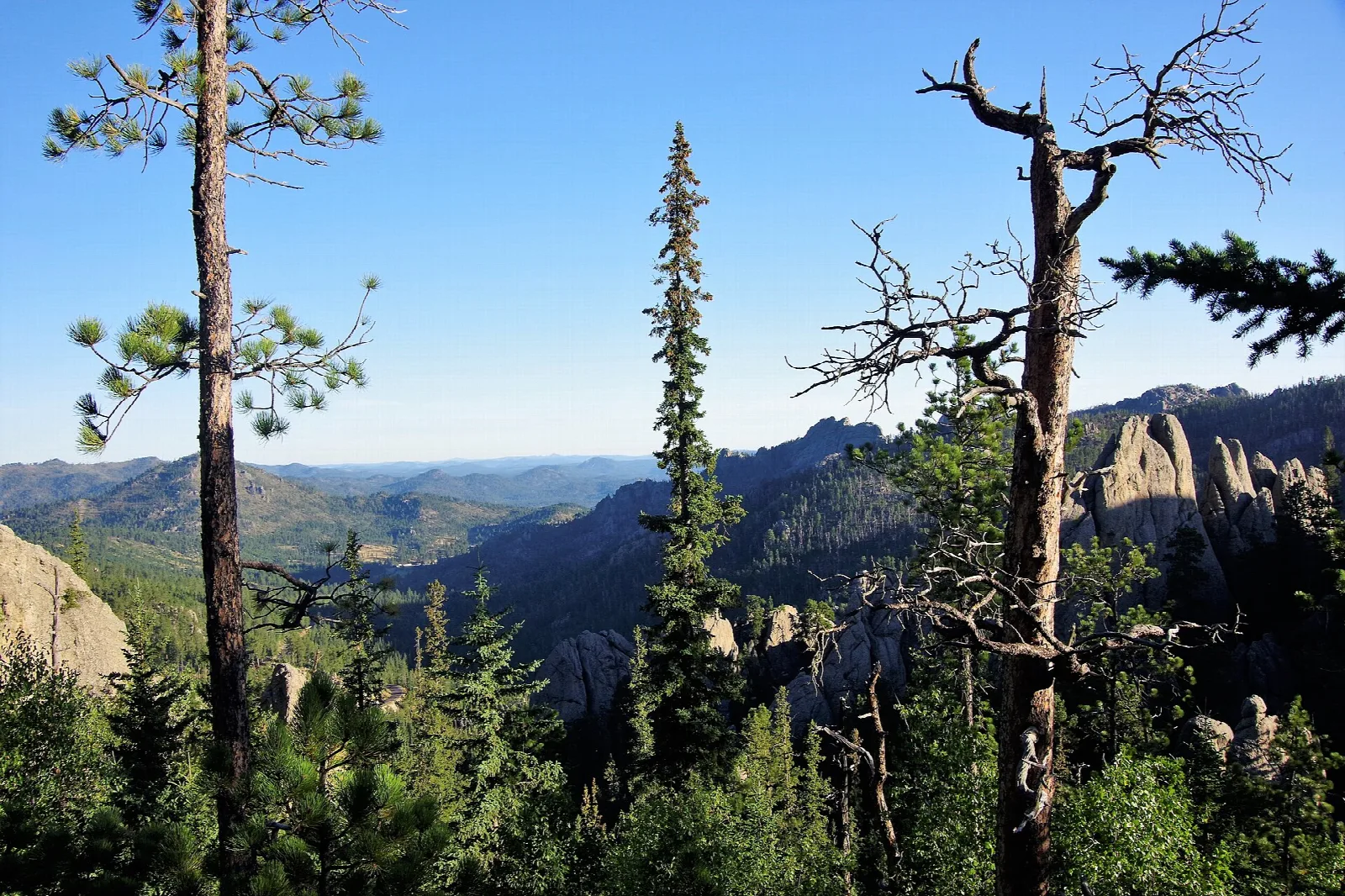 Pine trees framing distant forested hills and rock formations
