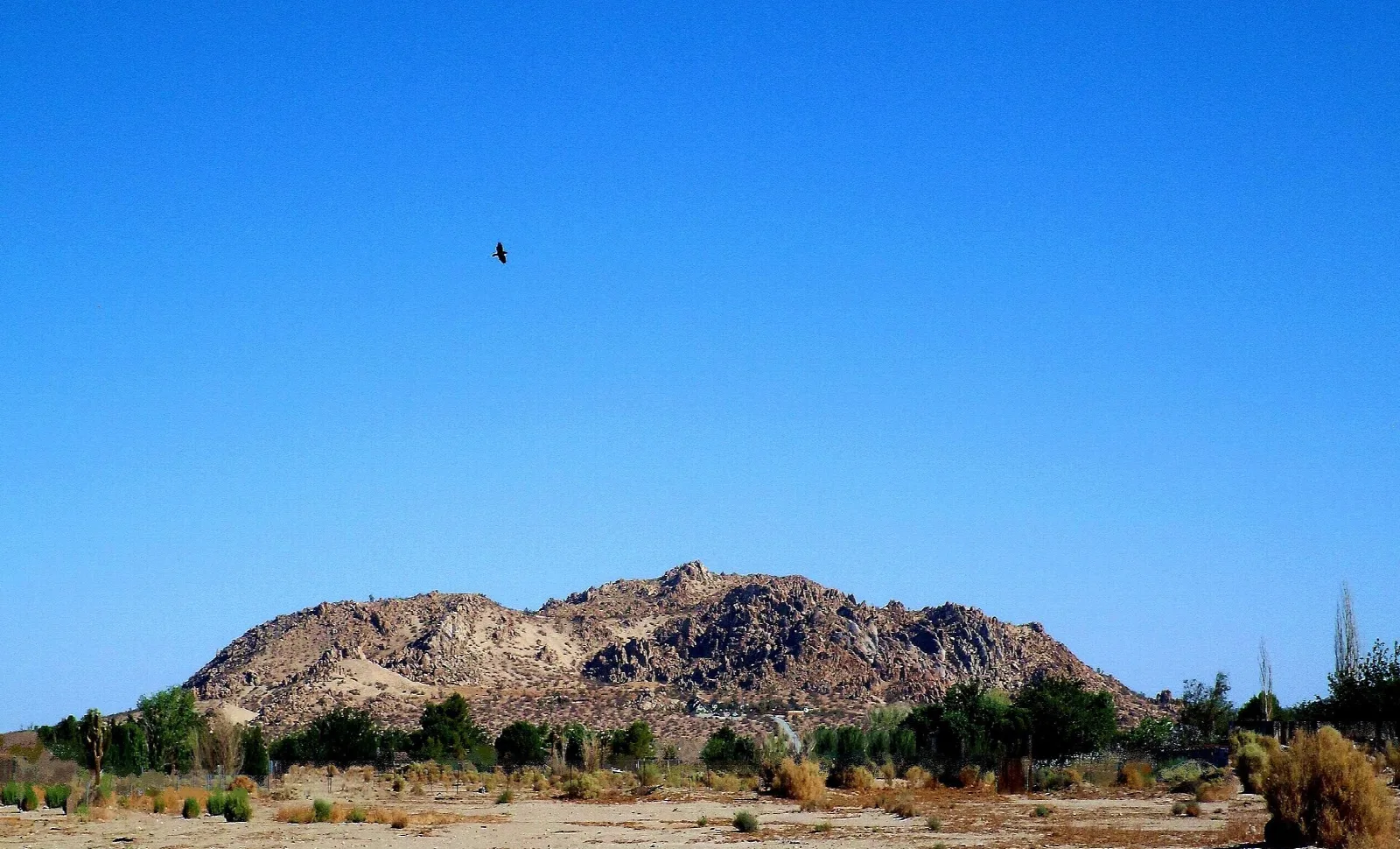 Rocky butte rising from open desert under a clear sky