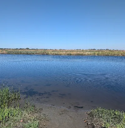 Brannan Island State Recreation Area