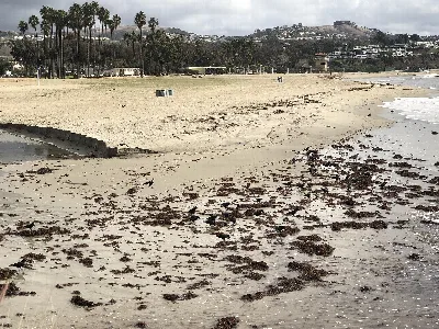 Doheny State Beach