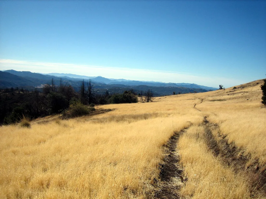 Dirt track through golden grass toward blue ridges