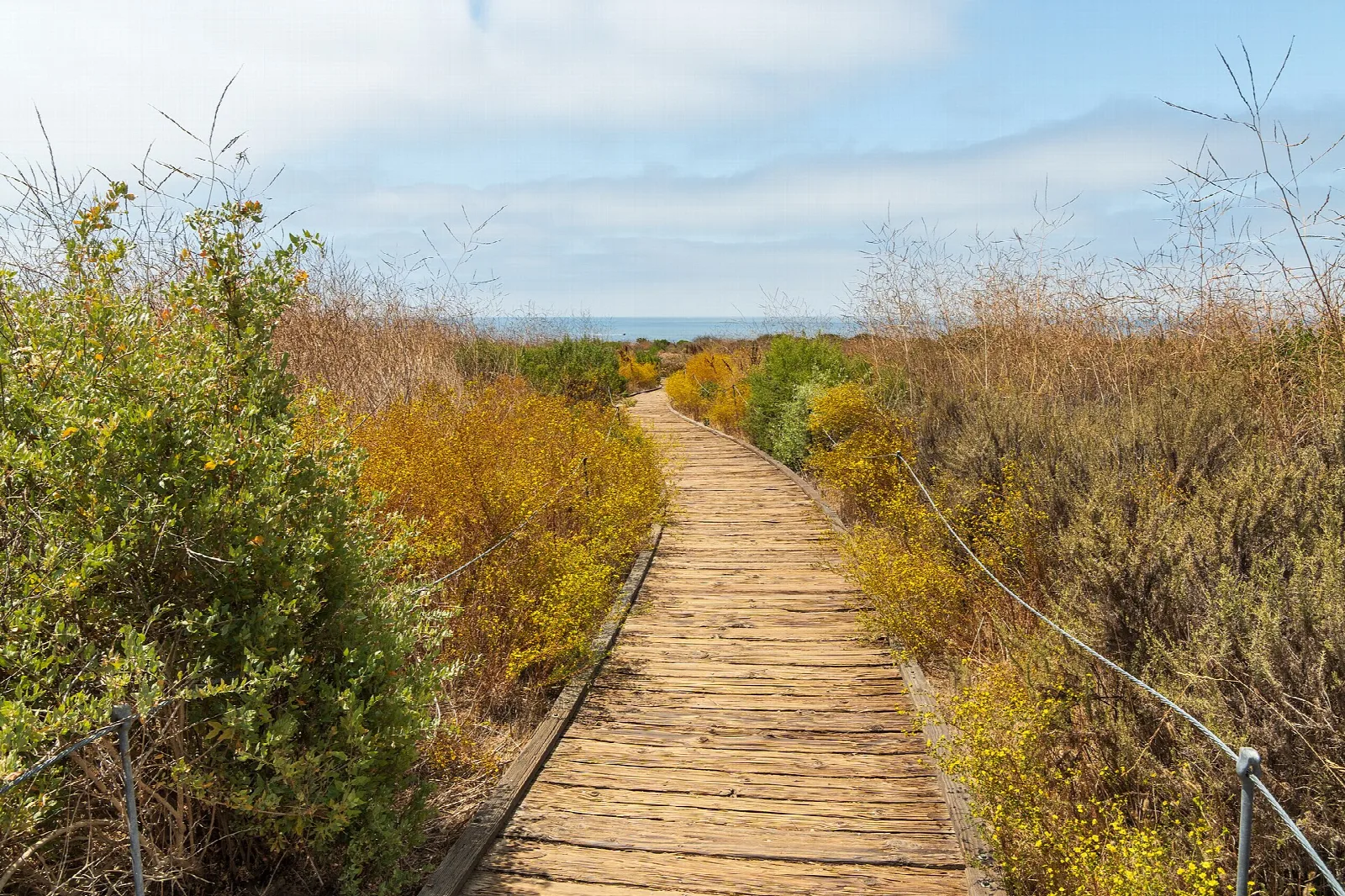 Wooden boardwalk through coastal shrubs toward the sea