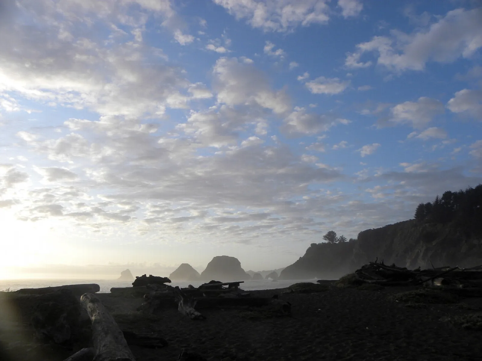 Driftwood on a dark beach with sea stacks in the haze
