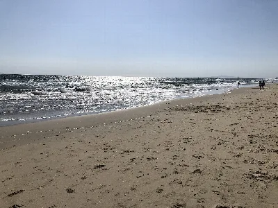 Huntington State Beach