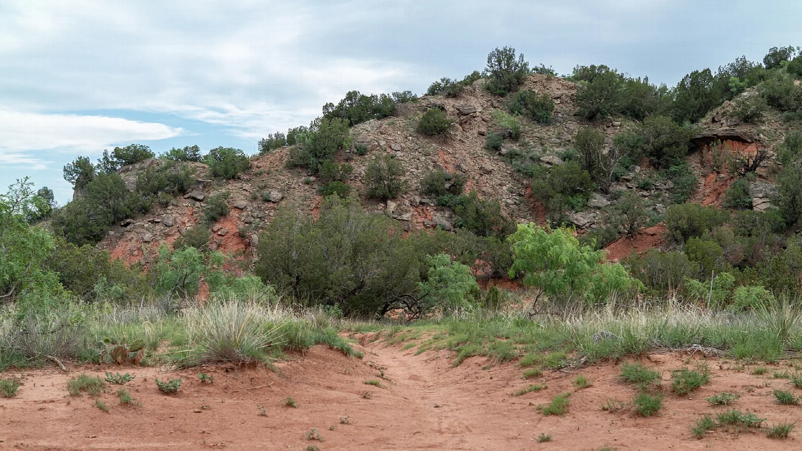 Red dirt trail below a brushy, wooded canyon slope