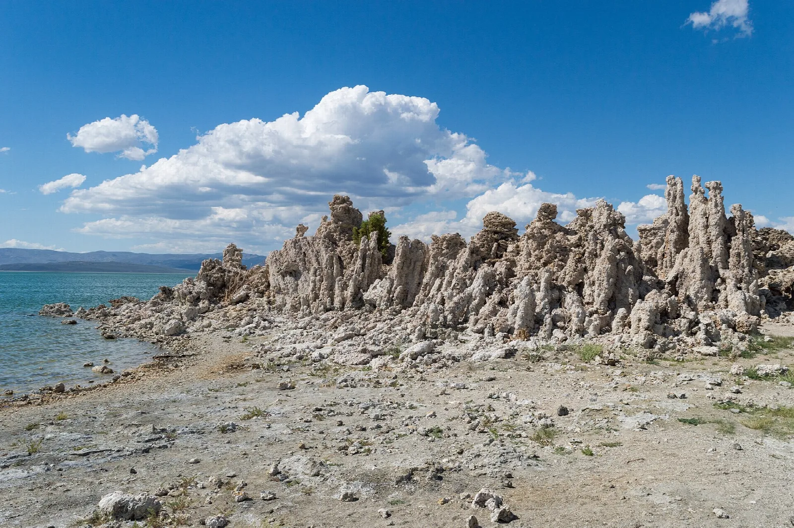 Rows of tufa towers on a sandy shore beside turquoise water