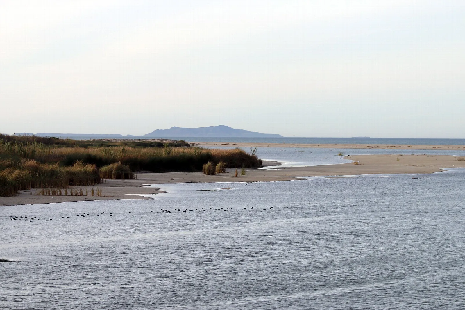 Shallow river estuary with marsh grass and sand bars meeting the ocean