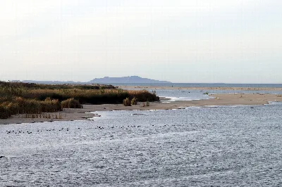McGrath State Beach