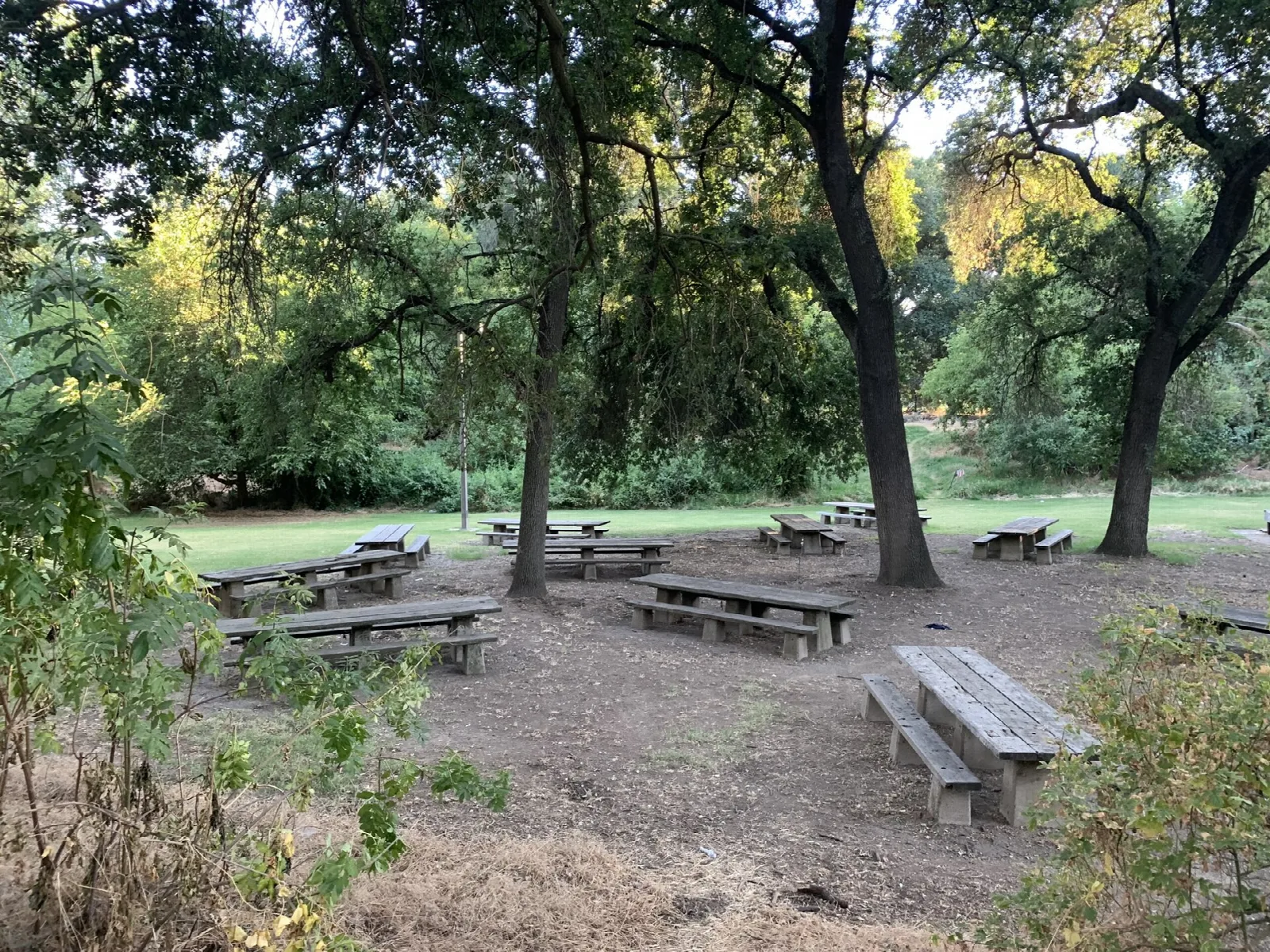 Picnic tables on bare ground under tall shade trees