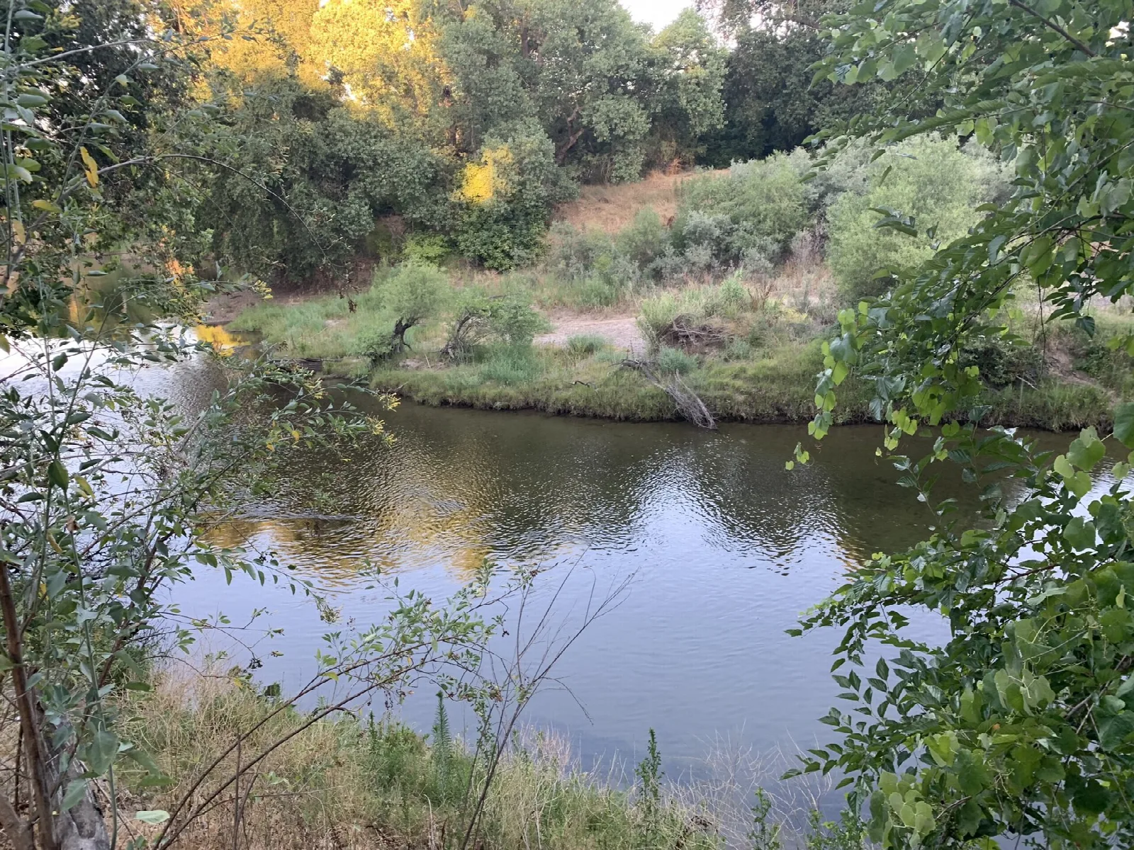 Quiet river bend with green banks and autumn-colored trees