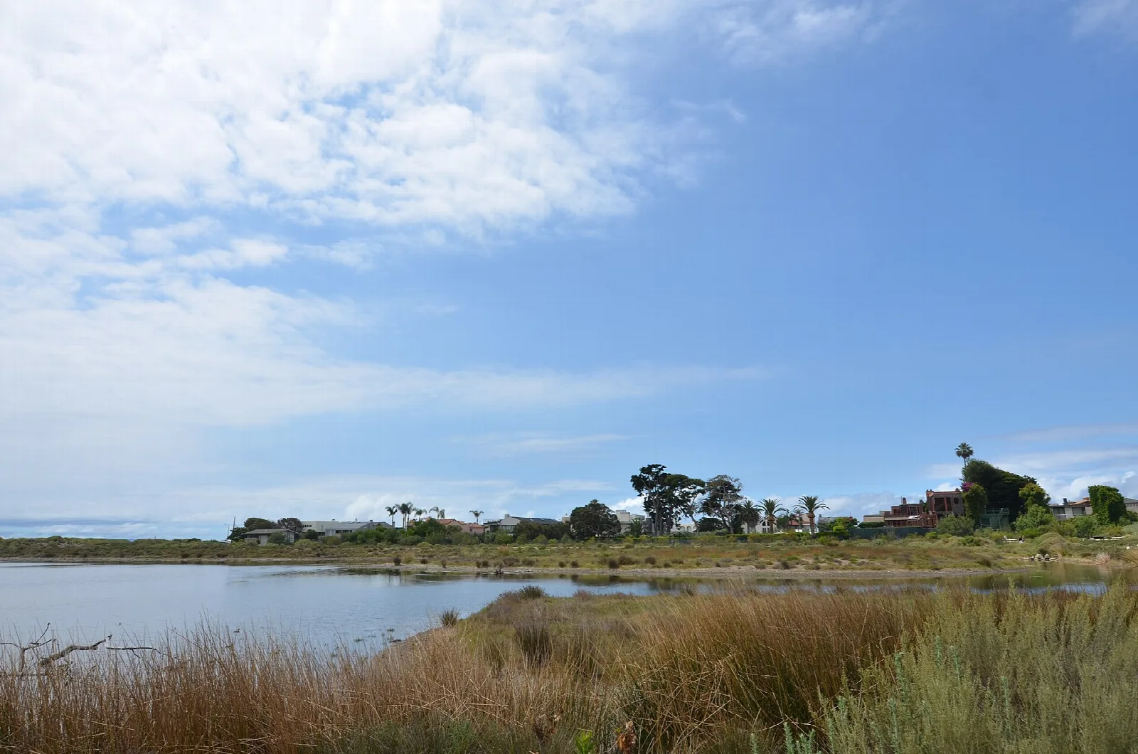 Calm lagoon with reeds and houses on the far shore under a blue sky