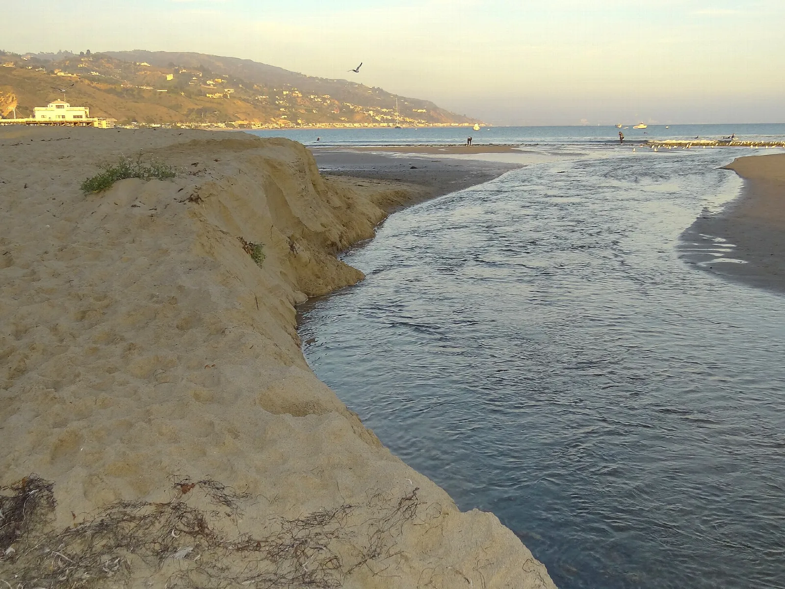 Channel of water flowing through sand to the ocean at golden light