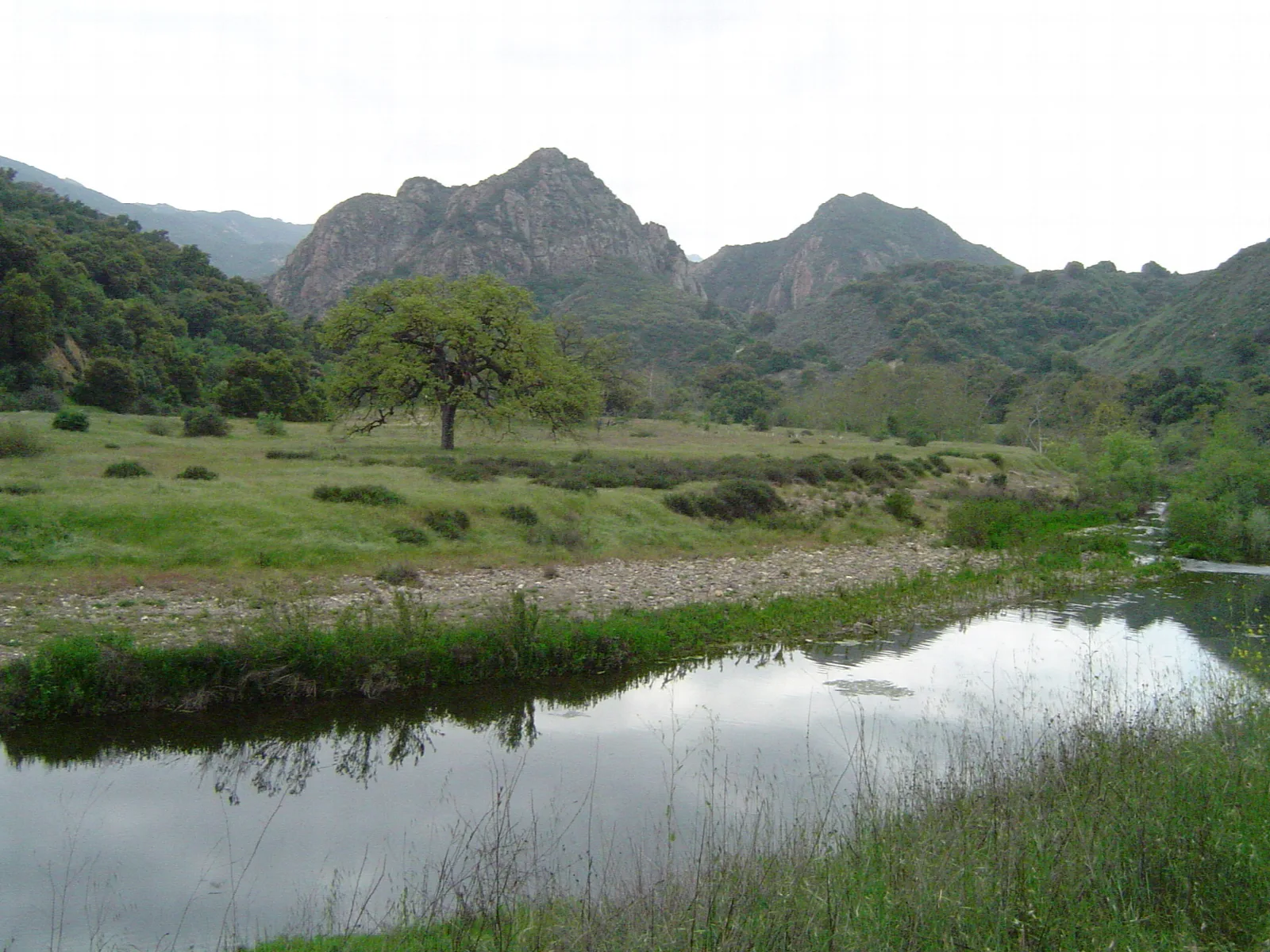 Still creek pool with grass and a lone oak below rocky peaks