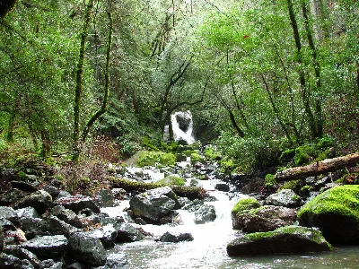 Sugarloaf Ridge State Park