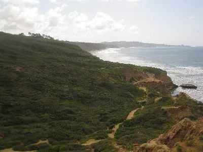Torrey Pines State Natural Reserve