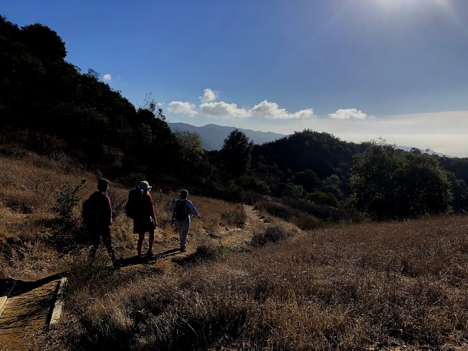 Three hikers on a hillside trail above a wooded canyon