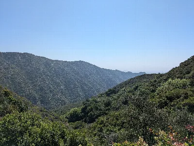 Topanga State Park