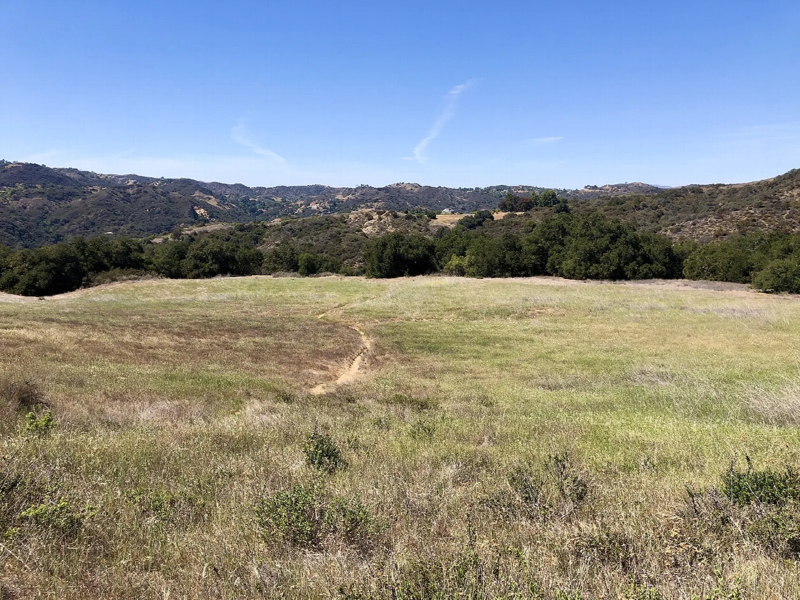 Open grassy meadow with a trail and oak-covered hills beyond