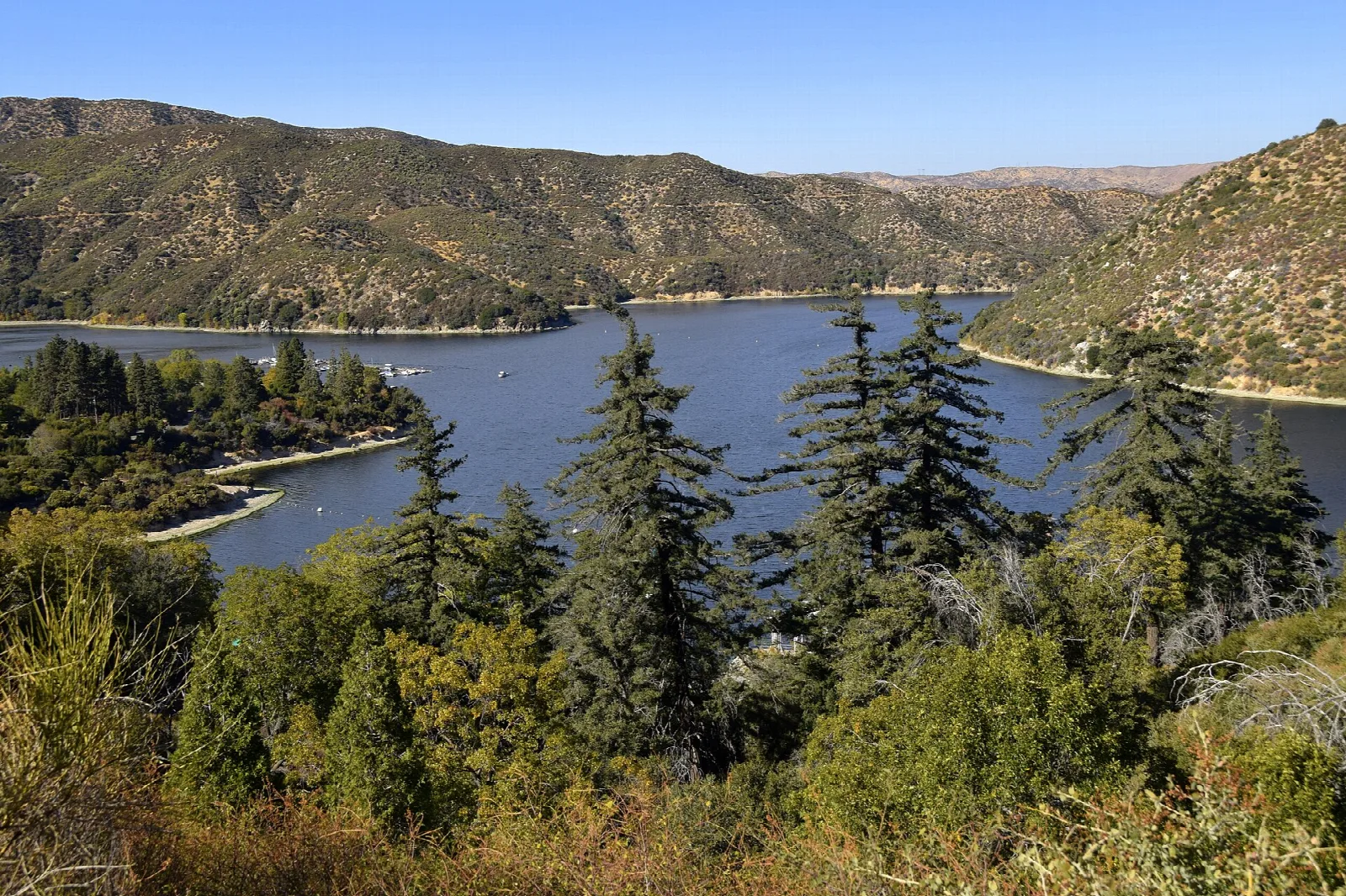 Dark blue lake between hills framed by tall evergreen trees