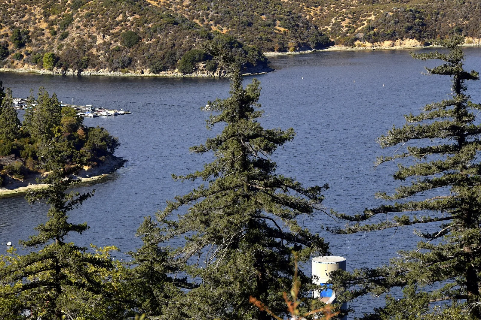 Lake and evergreen trees seen from a high overlook