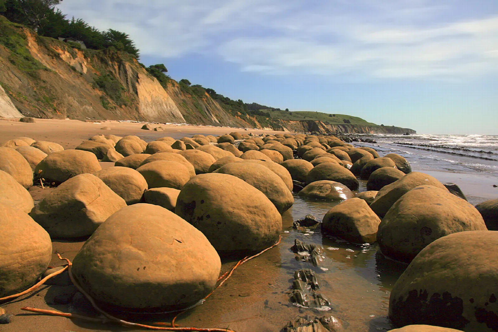 Round boulders scattered along the beach below a wooded bluff