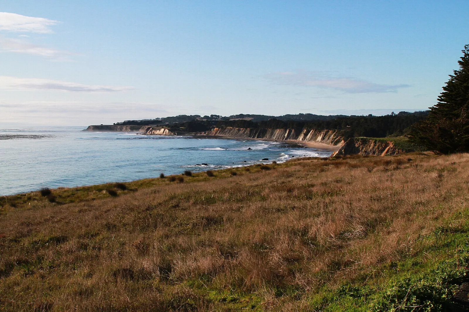 Grassy bluff above a sea cove and a line of coastal cliffs