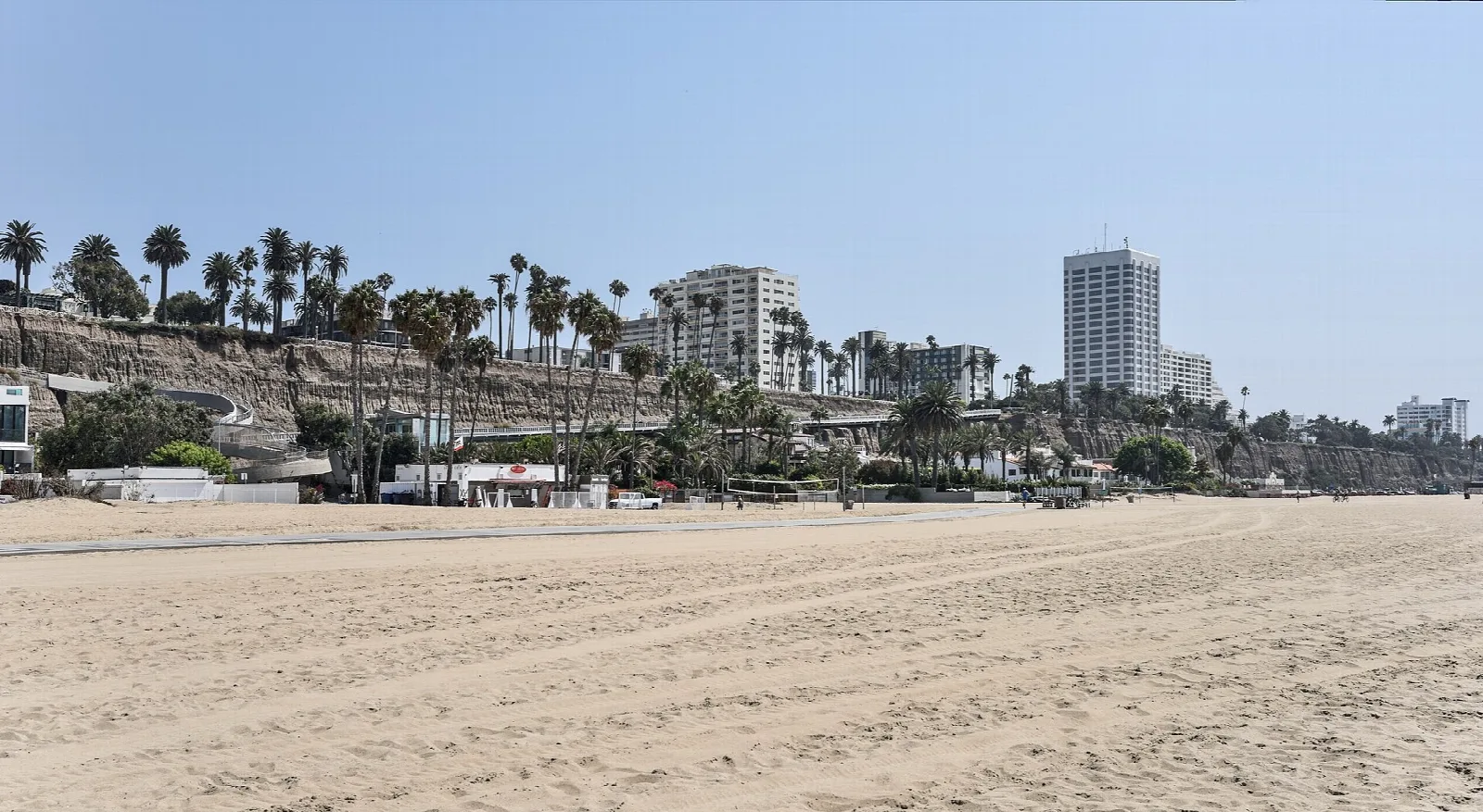 Empty beach below a palm-lined bluff and tall buildings