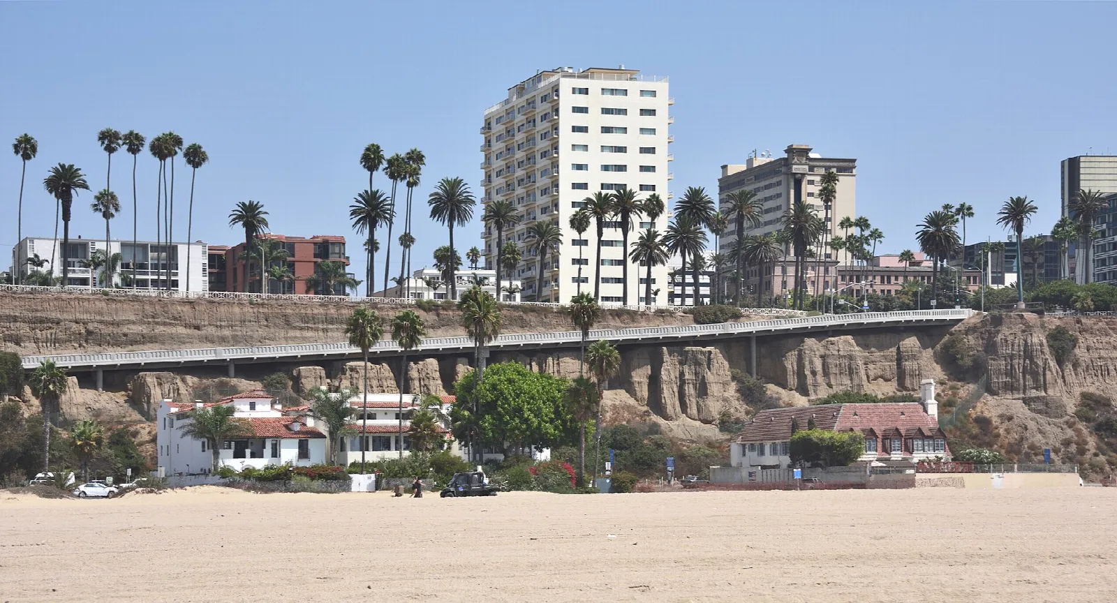 Sandstone bluffs and palm trees above the beach