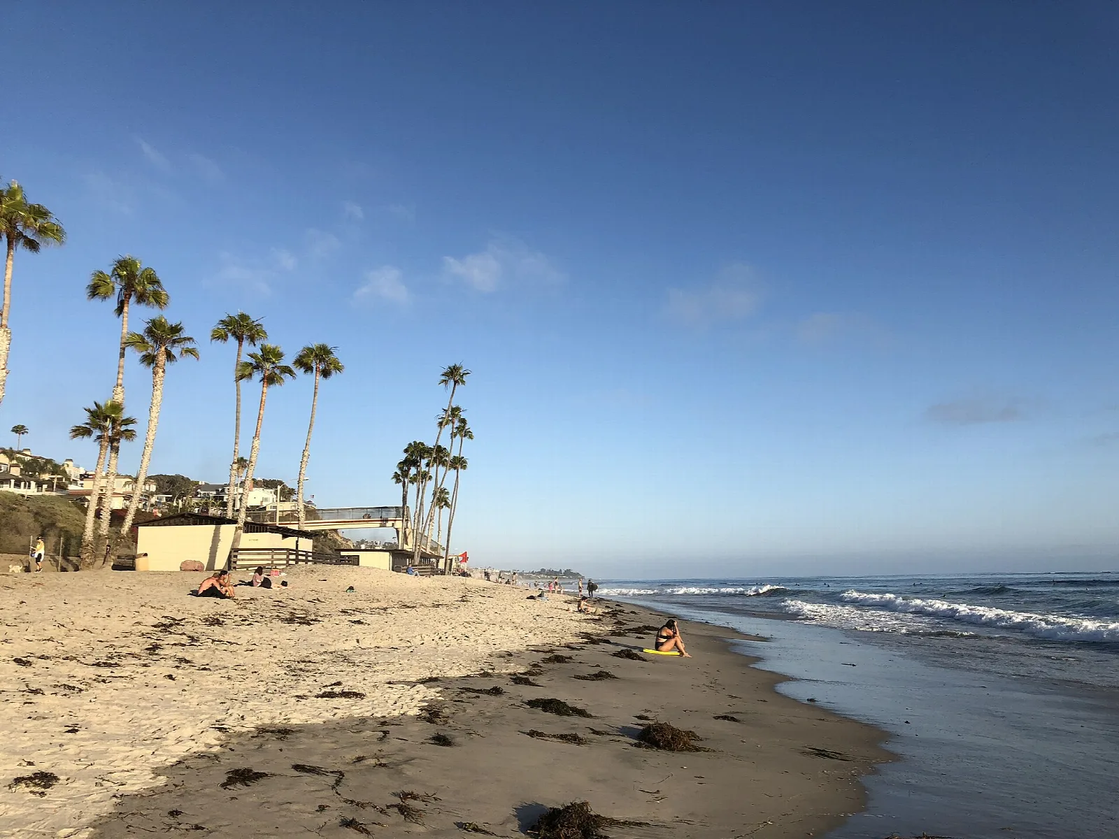 Palm trees and people on a sandy beach with surf