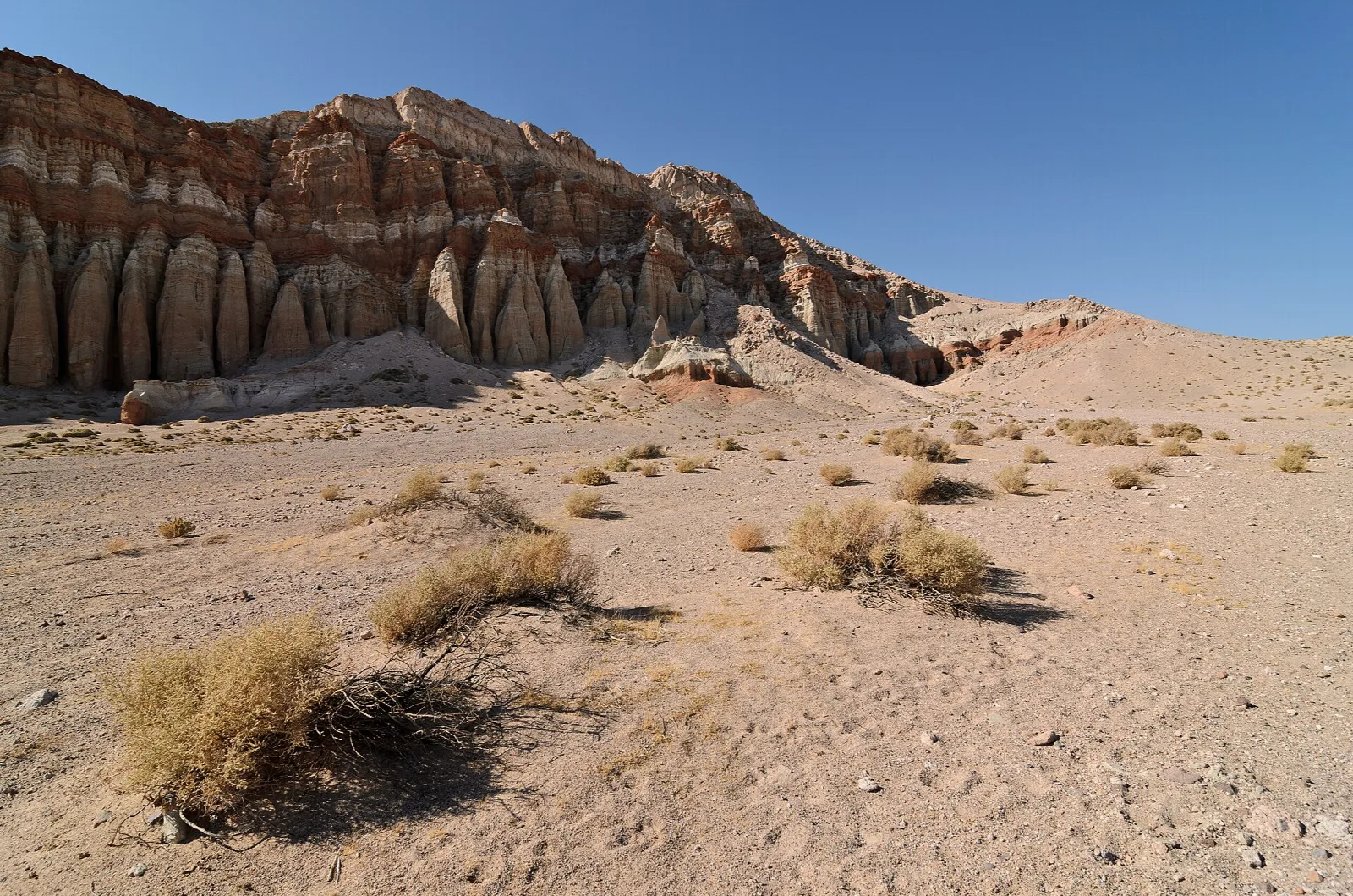 Fluted desert cliffs above sand and scrub